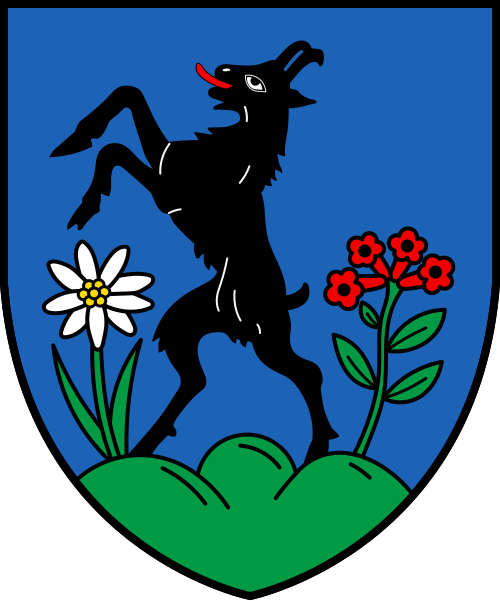 File:CHE Bitsch COA.svg