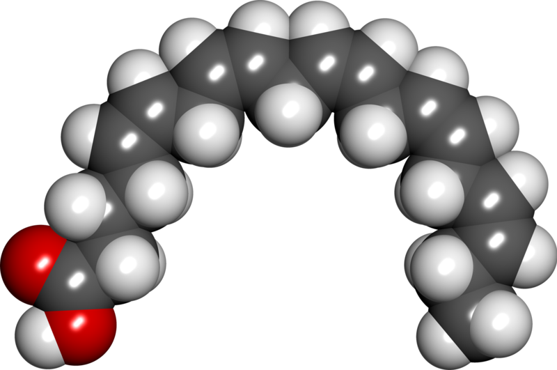 File:Eicosapentaenoic acid spacefill.png