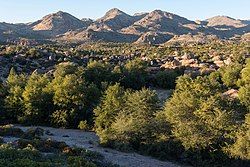 Oak Flat, Arizona. Emory oak trees (shown in photo) grow in abundance here.