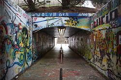 North Carolina State University's Free Expression Tunnel