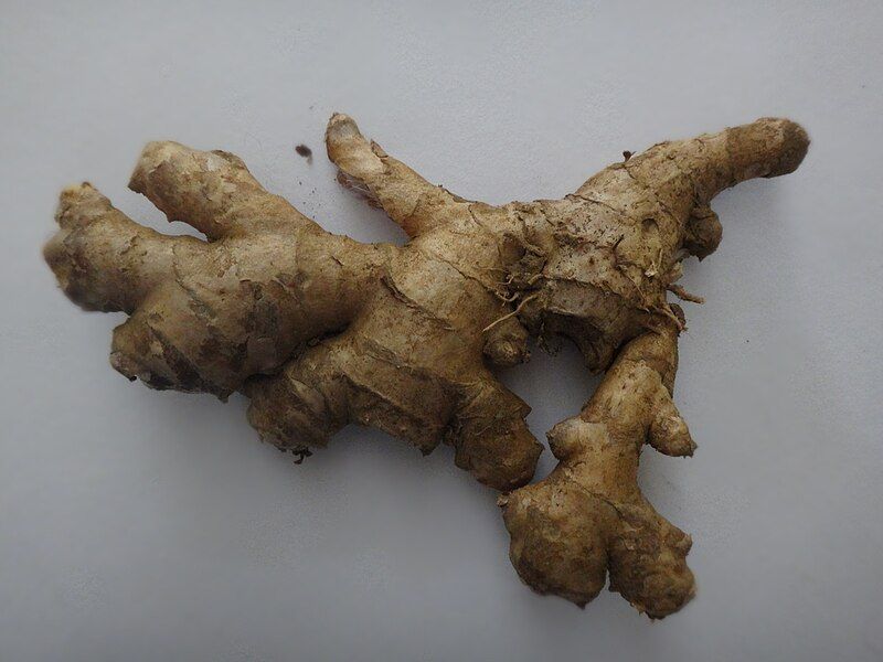 File:Ginger1.jpg