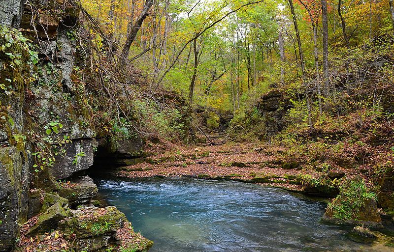 File:Greer Spring-Oct2013-067.jpg