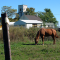 Judyville, Indiana