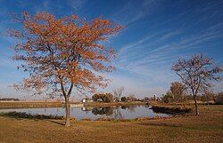 Schoneman County Park in Luverne Township