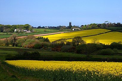 St Mabyn fields.