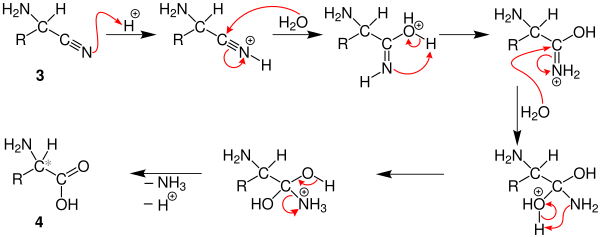 Mechanism of the Strecker synthesis