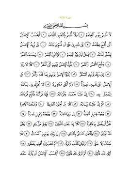 Arabic text