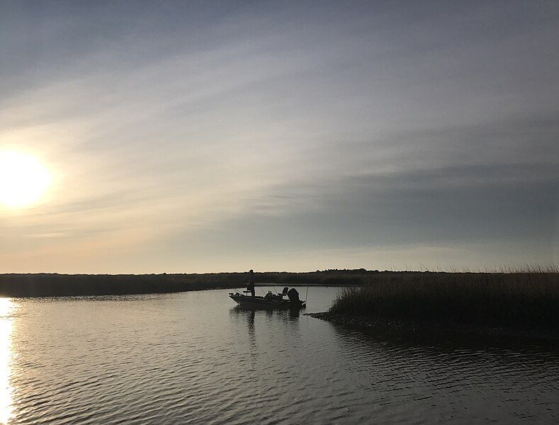 File:TheCreeksBehindSmithIsland.jpg