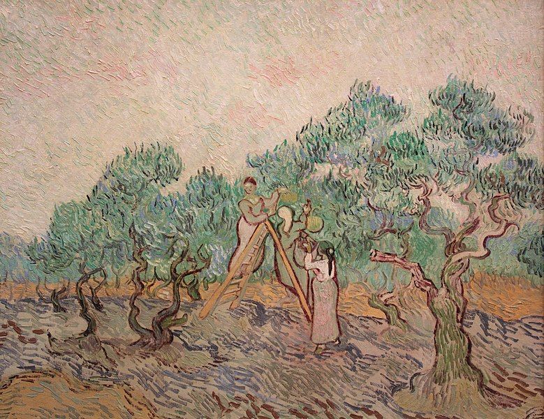 File:The Olive Orchard.JPG