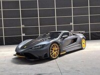 Tushek-spigel TS 600