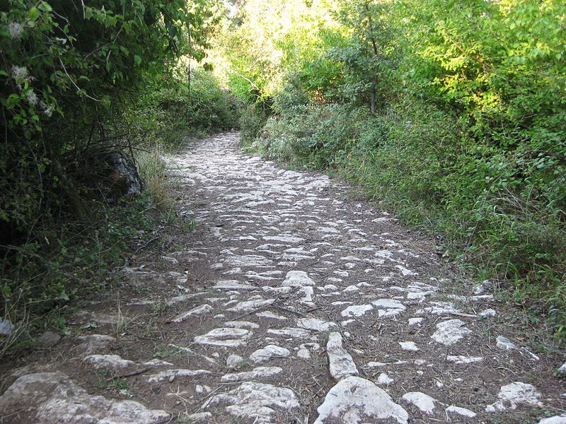 File:Via Egnatia Radozda.JPG