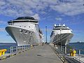 Cruise ships at cruise quay in Old City harbour in Tallinn