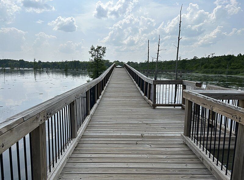 File:BlackBayouLake.Bridge.jpg