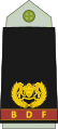 Major (Botswana Ground Force)[18]