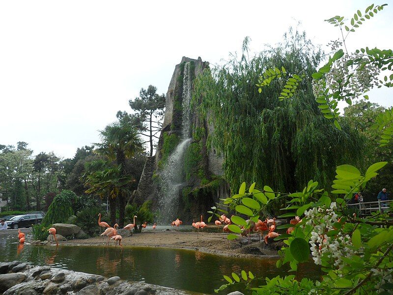 File:Cascade zoo palmyre.jpg