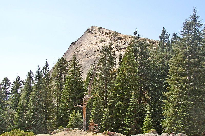 File:Fresno Dome 2004.jpg