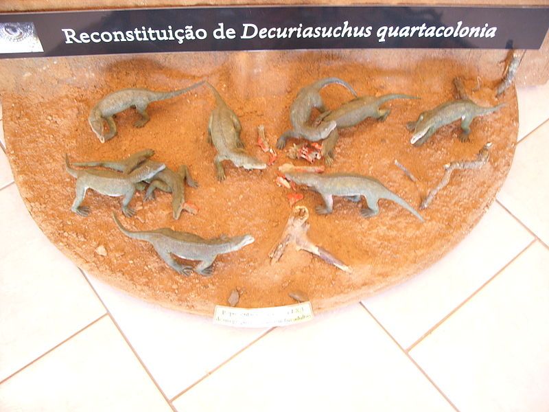 File:Grupo de Decuriasuchus.JPG