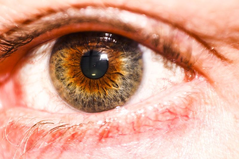 File:Hazel Eye HD.JPG