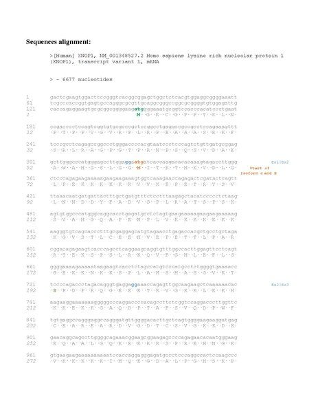 File:KNOP1 Conceptual Translation.pdf