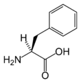 L-Phenylalanine (Phe / F)