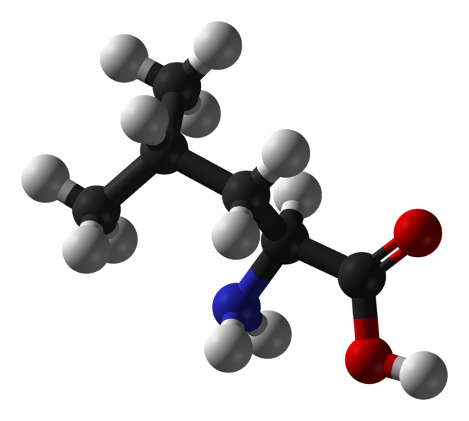 File:Leucine-ball-and-stick.png