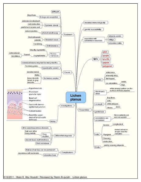 File:Lichen planus.pdf