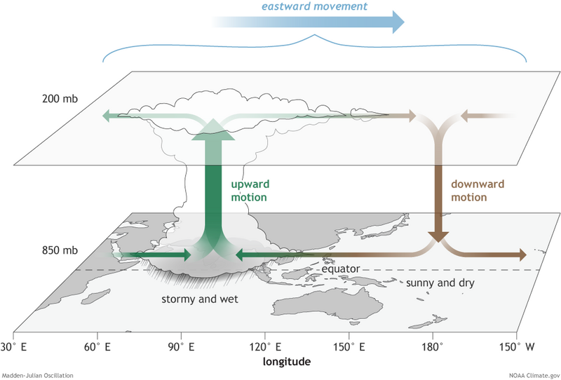 File:Madden–Julian oscillation diagram.png