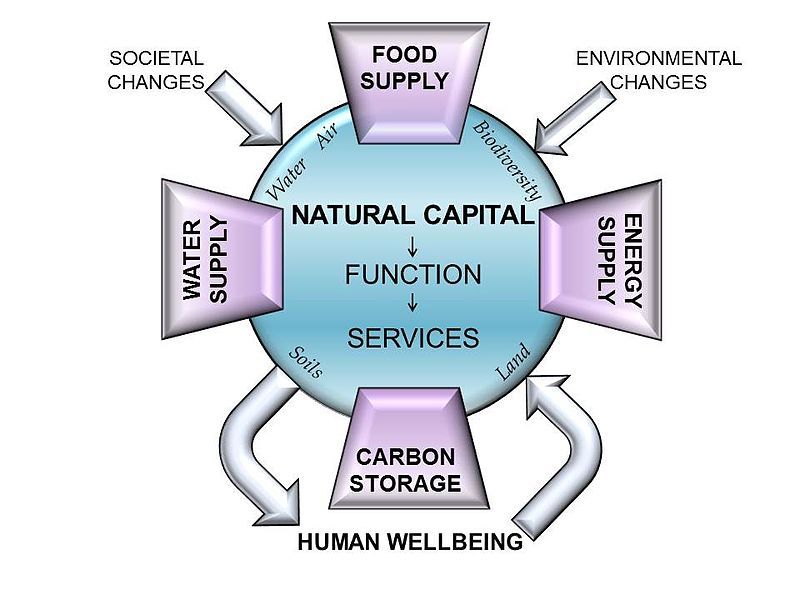 File:Natural Capital graphic.jpg