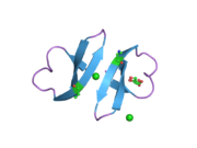 1zmk: Crystal structure of human alpha-defensin-2 (variant Gly16-> D-ALA), P 42 21 2 space group