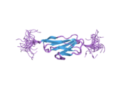 2dku: Solution structure of the third Ig-like domain of human KIAA1556 protein