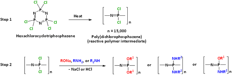 Hexachlorotriphosphazene ROP and subsequent nucleophilic substitution for desired polyphosphazene synthesis