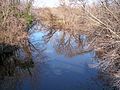 St. Jones River in Dover