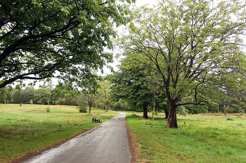 File:Singleton Park.jpg