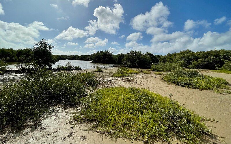 File:Spanish Lagoon wetland.jpeg