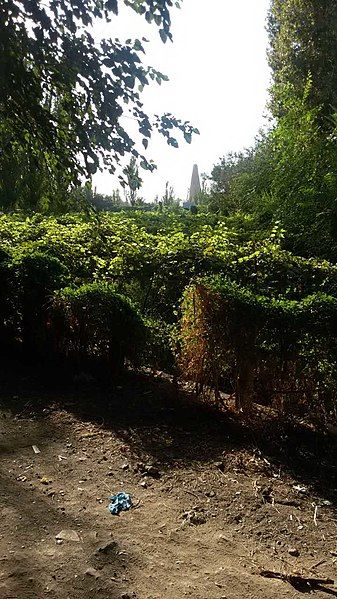 File:Turpan grape valley.jpg