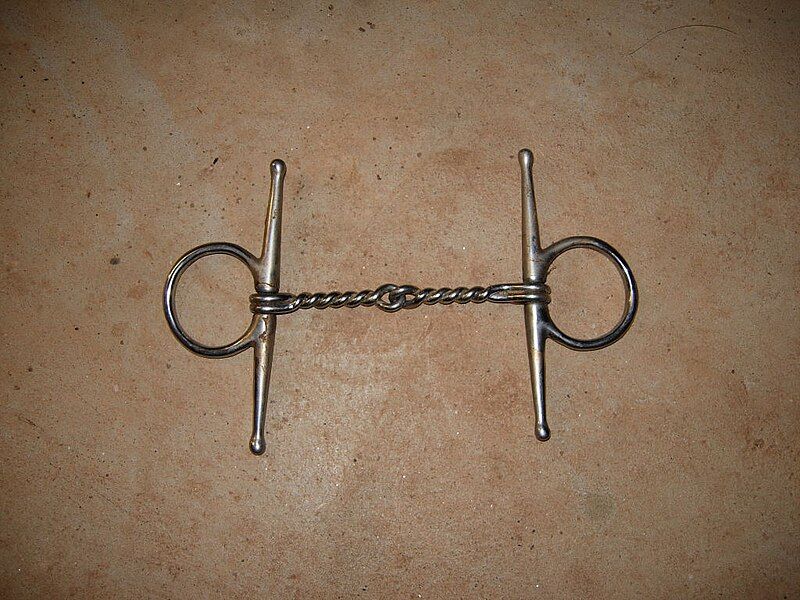 File:Twistedwiresnaffle.JPG