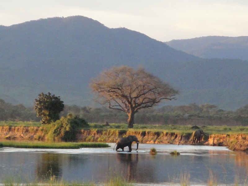 File:Zambezi-at-Mutsango.JPG