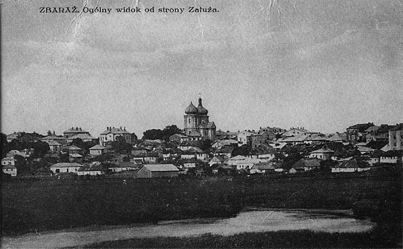 File:ZbarazOgolnyWidokOdStronyZaluza.jpg