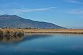 The lagoon of the wetland