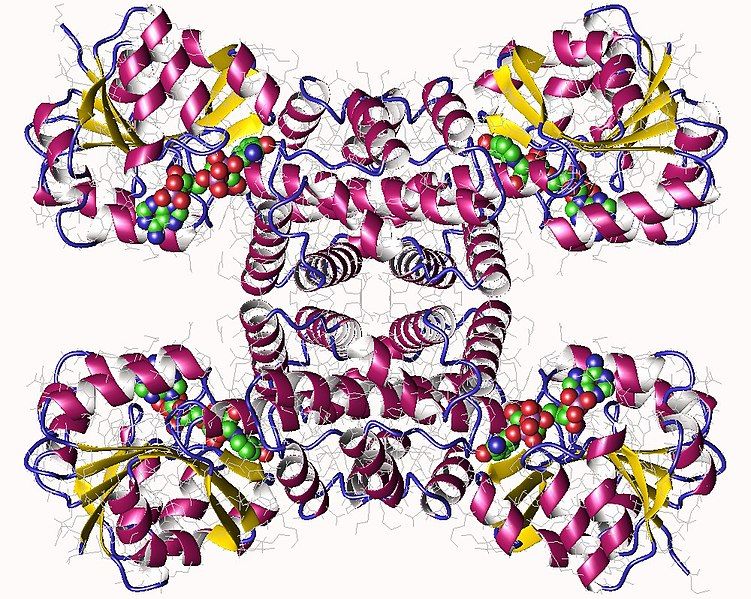 File:3pdu.jpg