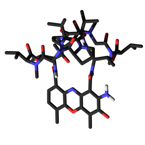 File:Actinomycin D sticks.png