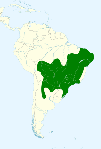 File:Amazona aestiva map.svg