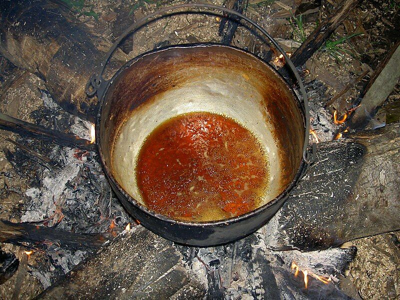 File:Ayahuasca preparation.JPG