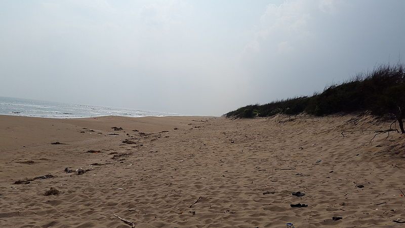 File:Chandrabhaga beach.jpg