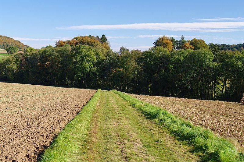 File:Höhenweg4 Lerchfeld.jpg