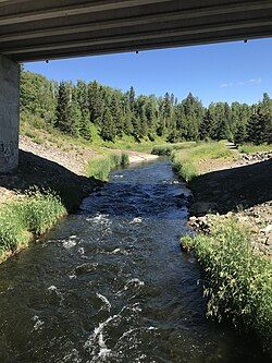 A creek travels through grasslands surrounded by coniferous forests under a highway overpass