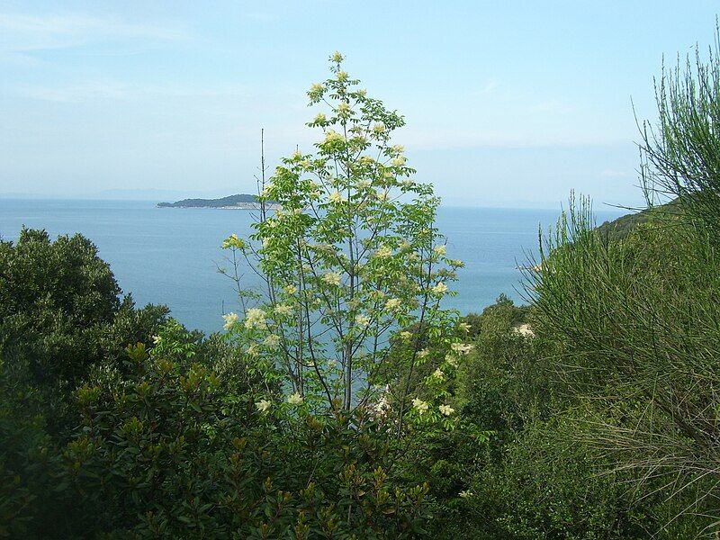 File:Kaukasos Island Greece.jpg