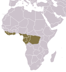 Map showing the range of the host for I. sanghae, the long-tailed pangolin