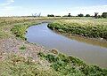 Maple River near Mapleton