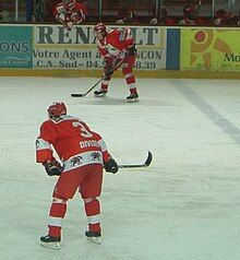 colour photograph of Michal Divíšek playing ice hockey